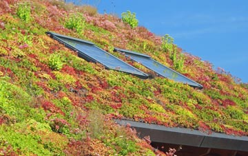 Sheffield Green living roof systems