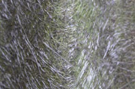 Sheffield Green fibreglass roof work